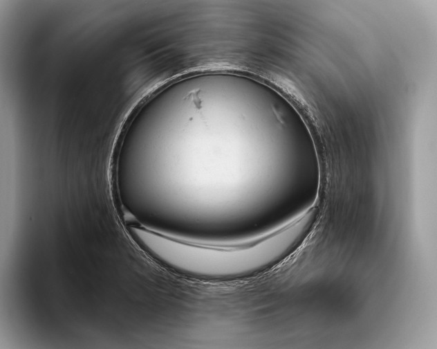 X0000093471181200711091602