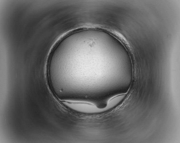 X0000093471183200711091602