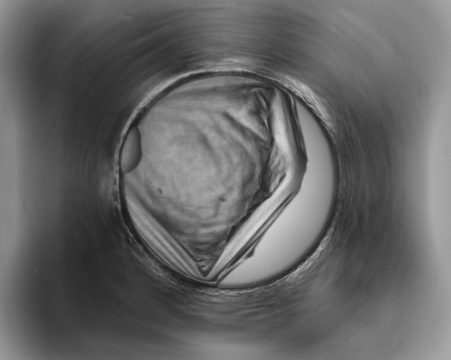 X0000093471184200711091602