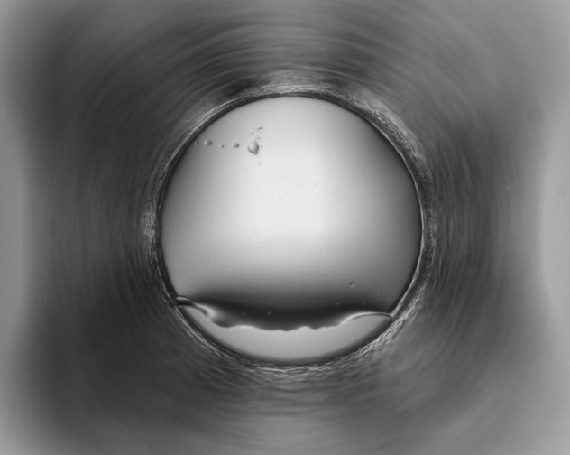 X0000093471185200711091602