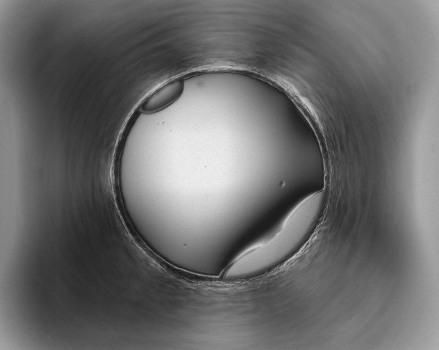 X0000093471189200711091602