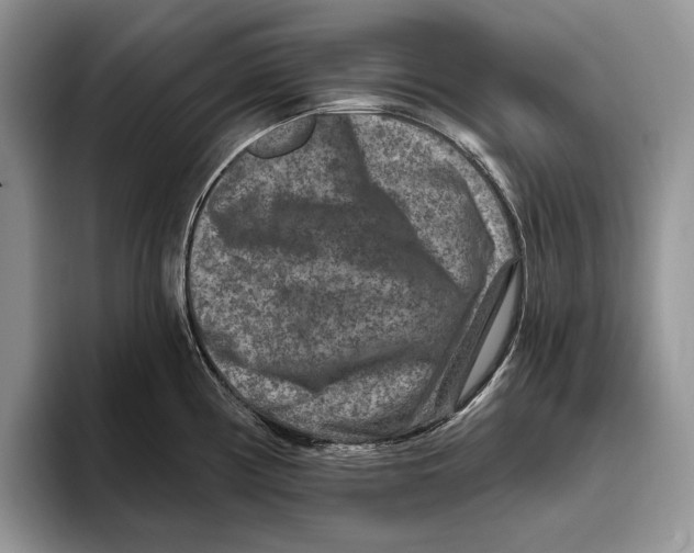 X0000093471194200711091602