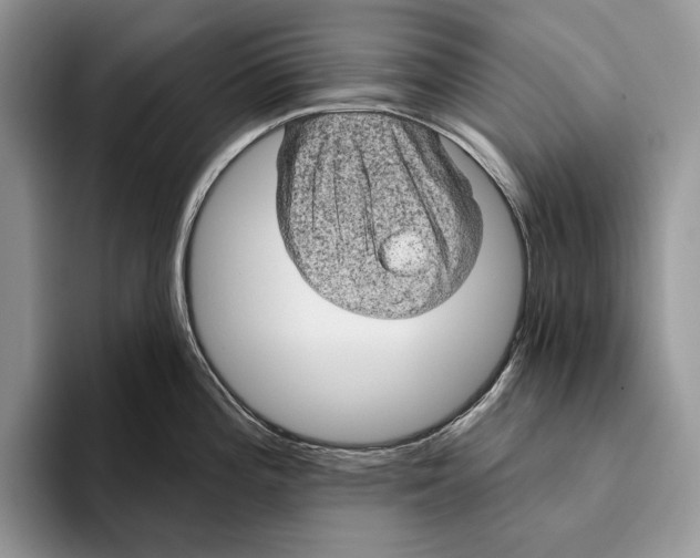 X0000093471196200711091602