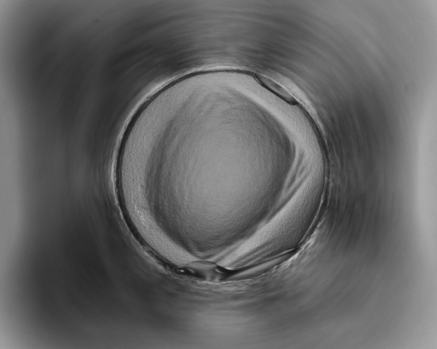 X0000093471197200711091602