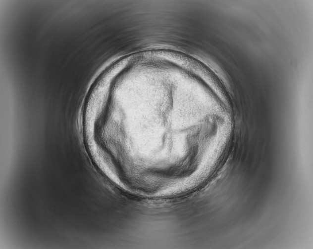 X0000093471198200711091602