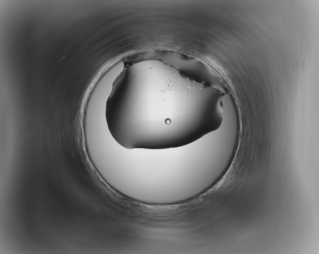 X0000093471200200711091602