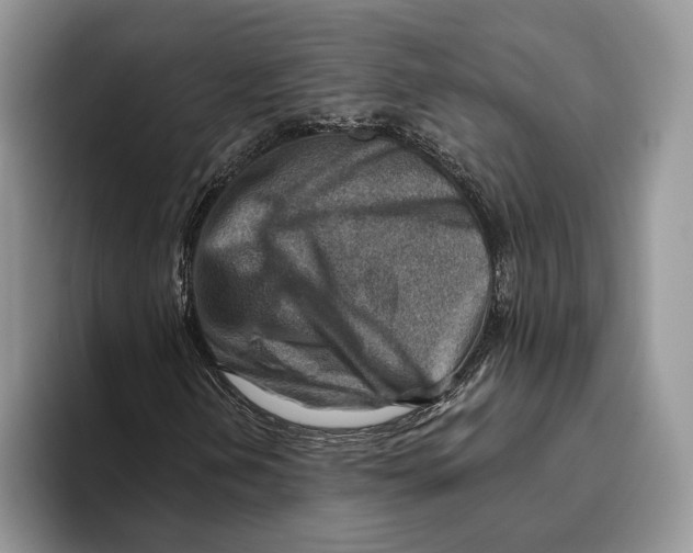 X0000093471202200711091601