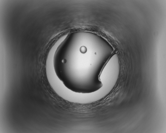 X0000093471206200711091601