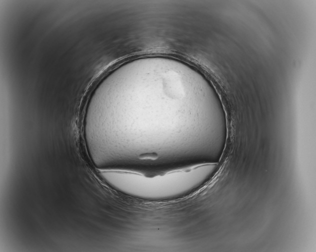 X0000093471212200711091601