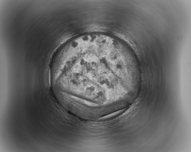 X0000093471219200711091601