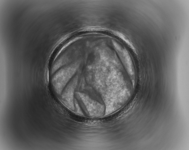 X0000093471221200711091601