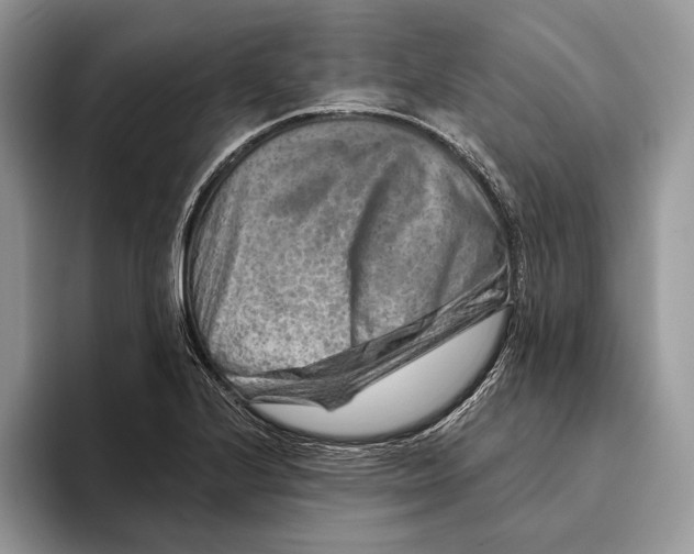 X0000093471224200711091601