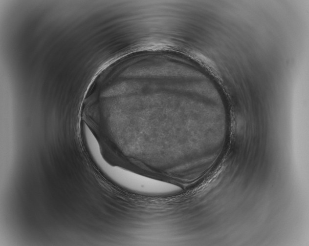 X0000093471226200711091601