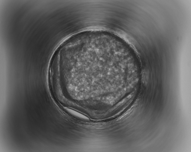 X0000093471229200711091602