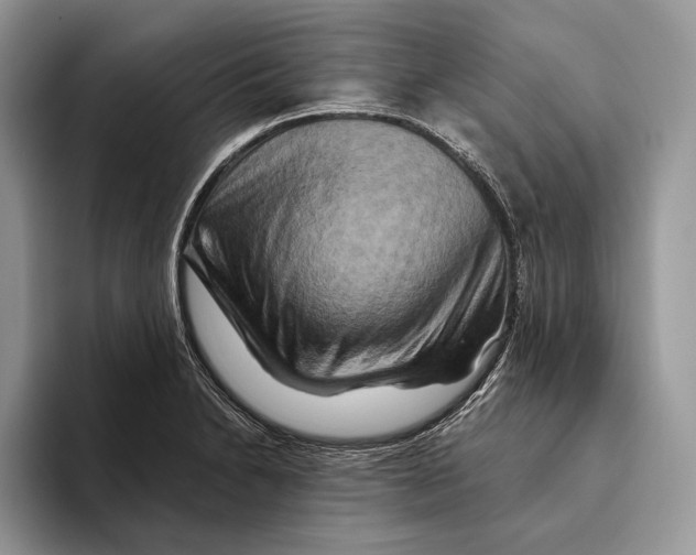 X0000093471230200711091602