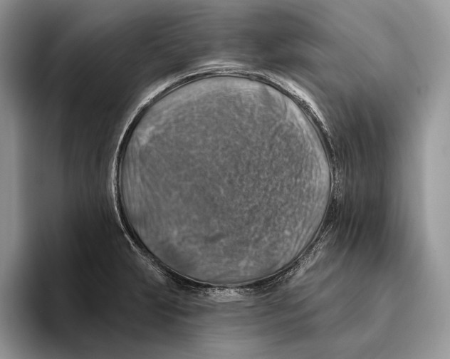 X0000093471231200711091602