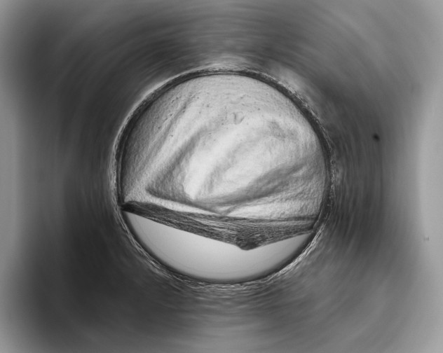 X0000093471232200711091602