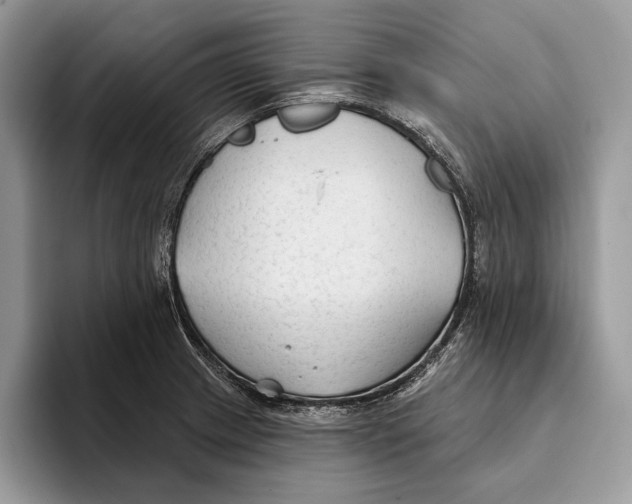 X0000093471233200711091602