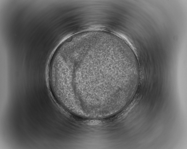 X0000093471235200711091602