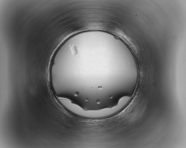 X0000093471236200711091602