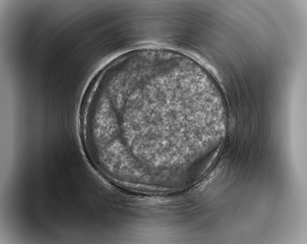 X0000093471239200711091602