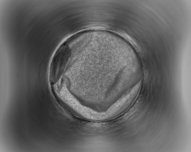 X0000093471240200711091602