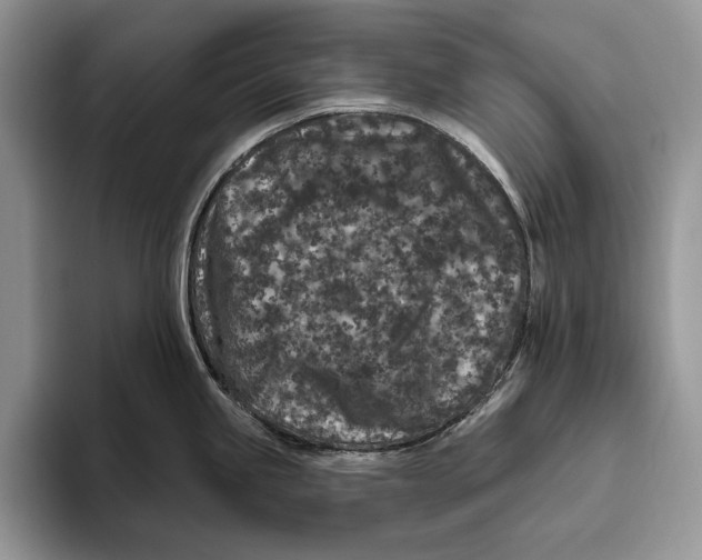 X0000093471245200711091602