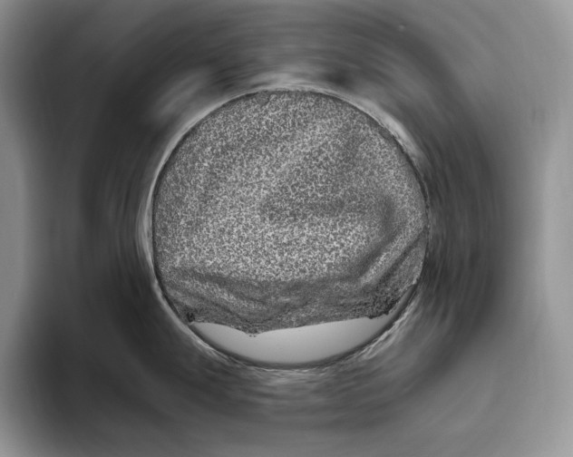 X0000093471247200711091602