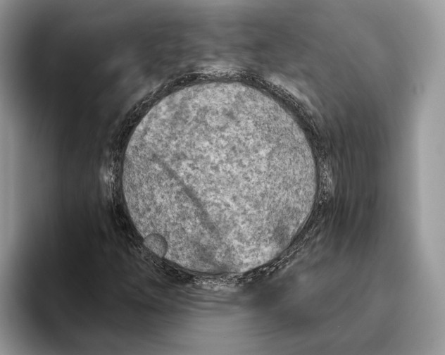 X0000093471254200711091601