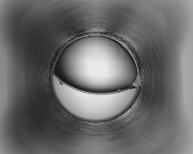 X0000093471257200711091601