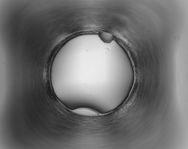 X0000093471259200711091601