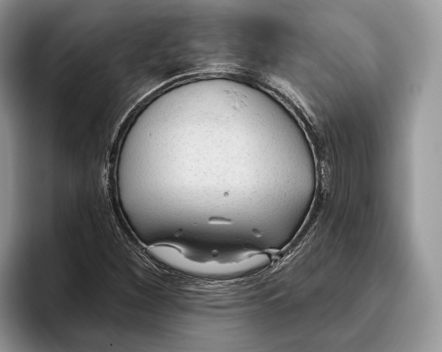 X0000093471260200711091601