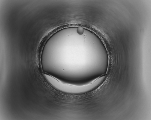 X0000093471262200711091601