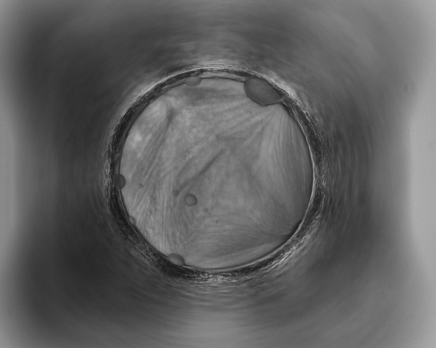 X0000093471263200711091601