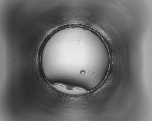 X0000093471264200711091601