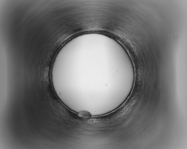 X0000093471265200711091601