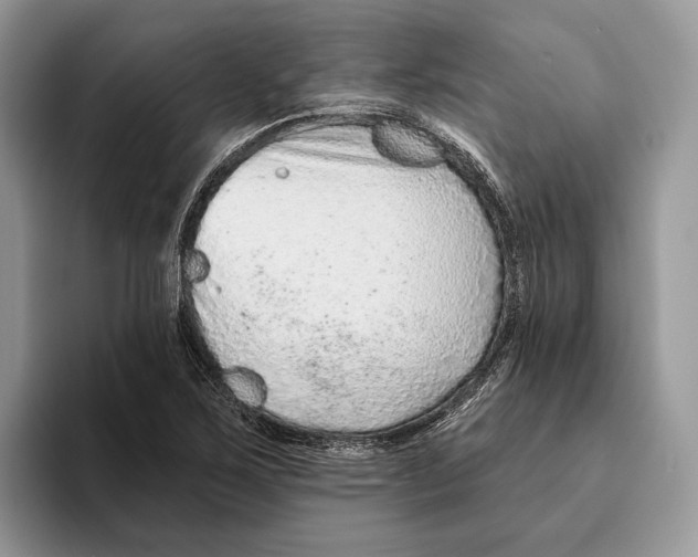 X0000093471267200711091601