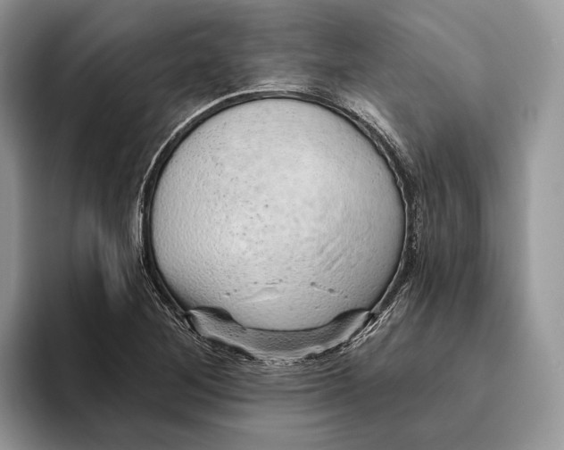 X0000093471268200711091601