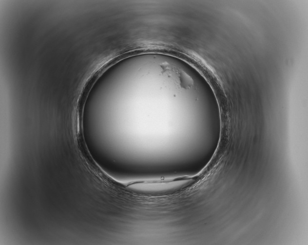 X0000093471269200711091601