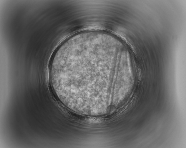 X0000093471274200711091601