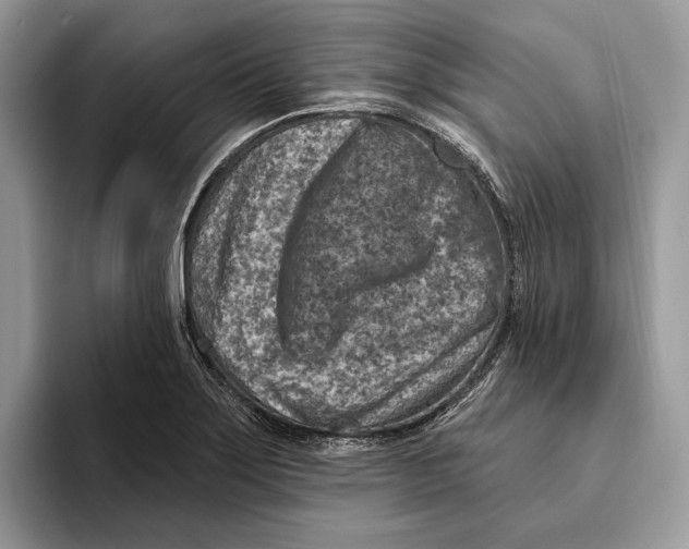 X0000093471275200711091601