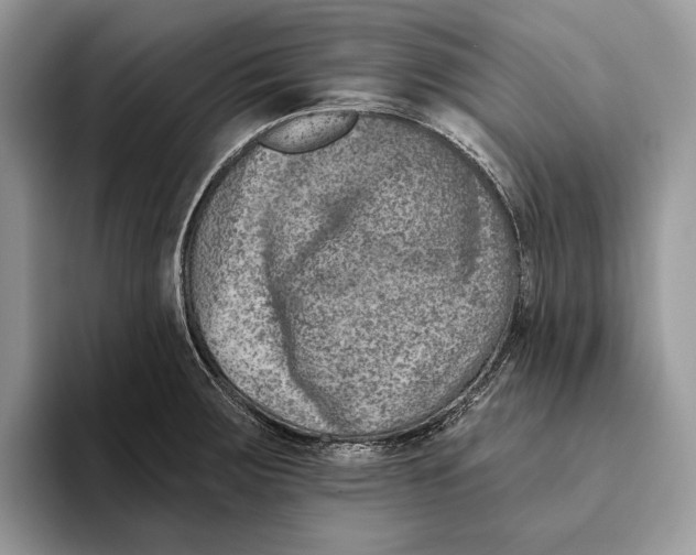 X0000093471283200711091601