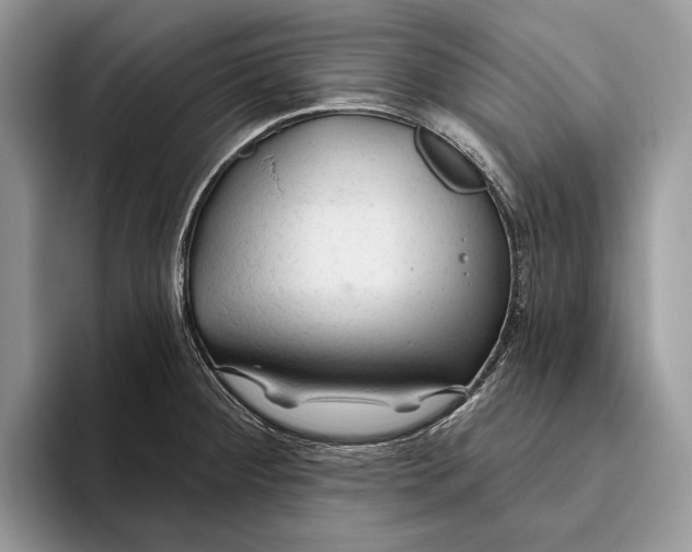 X0000093471284200711091601