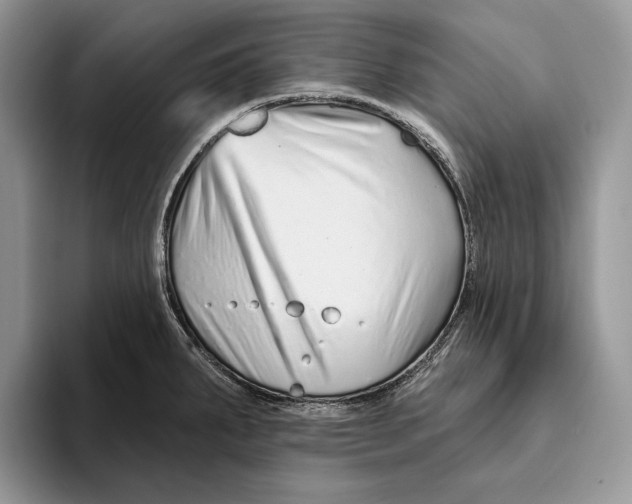 X0000093471287200711091601