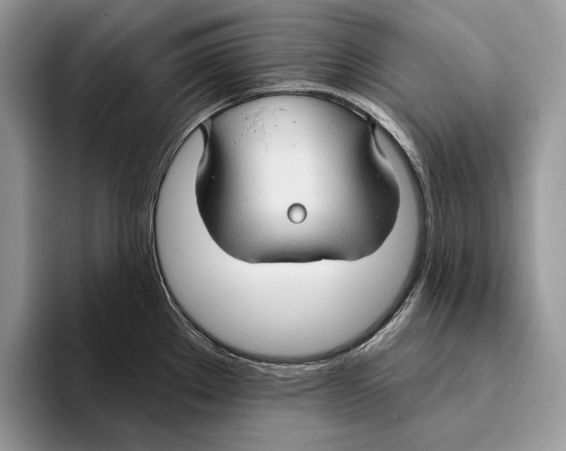 X0000093471289200711091601