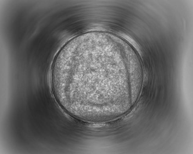 X0000093471290200711091601