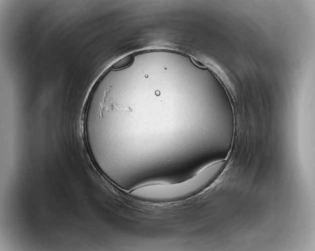 X0000093471292200711091601