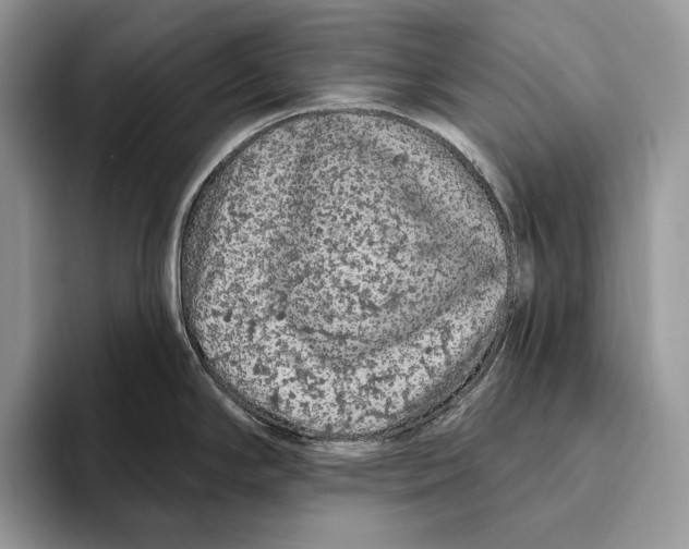 X0000093471294200711091601