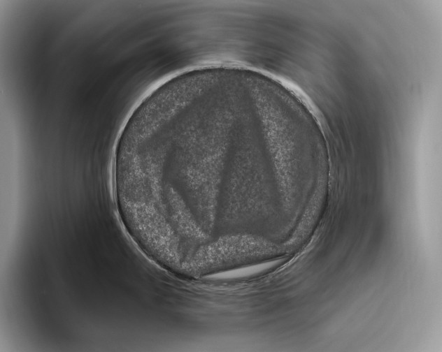 X0000093471295200711091601