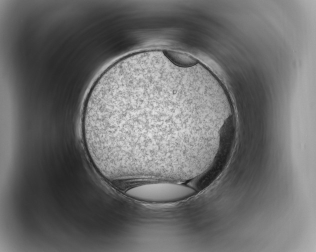 X0000093471296200711091601